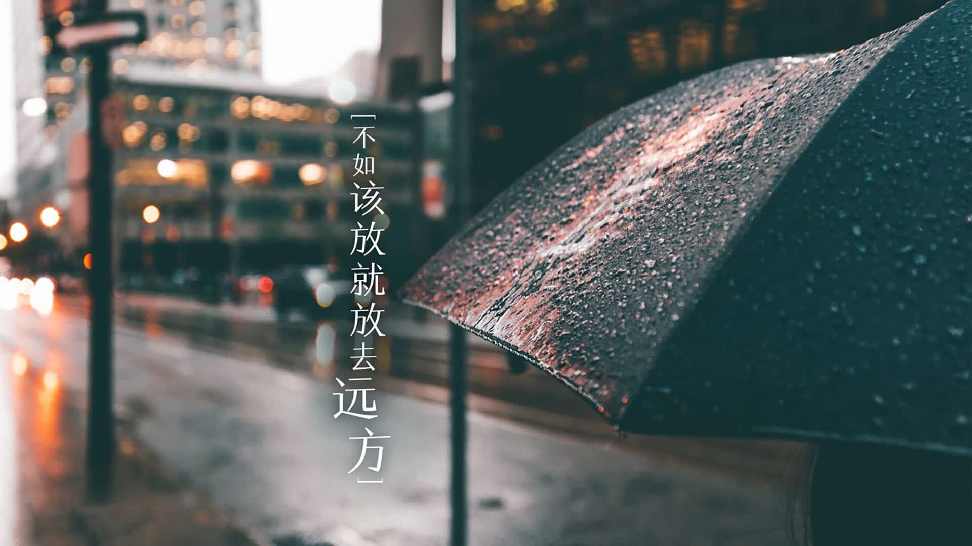 世界帆船赛事气象预报服务商绩效考核结果，帆船比赛天气条件